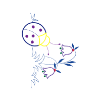 Illustration Other