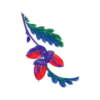 Illustration Other