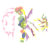 Illustration Other