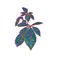 Illustration Other