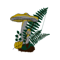 Illustration Other