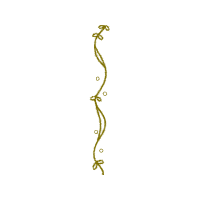 Illustration Other