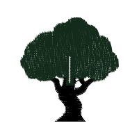 Illustration Other