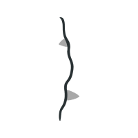 Illustration Other