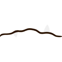 Illustration Other