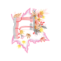 Illustration Other