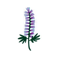 Illustration Other