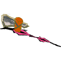 Illustration Other