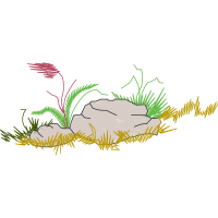 Illustration Other