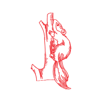 Illustration Other
