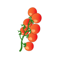 Illustration Other