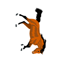 Illustration Other