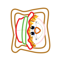 Illustration Other