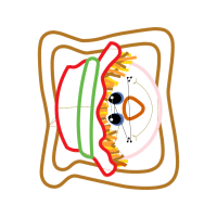 Illustration Other