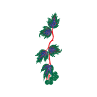 Illustration Other