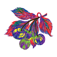 Illustration Other