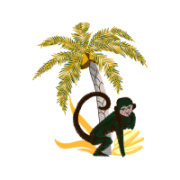 Illustration Other