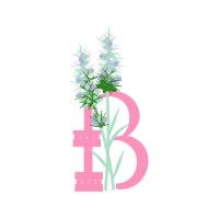 Illustration Other
