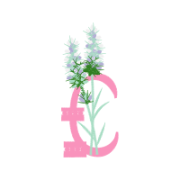 Illustration Other