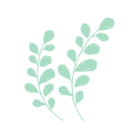 Illustration Other