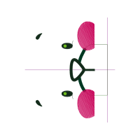 Illustration Other