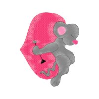 Illustration Other