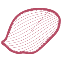 Illustration Other