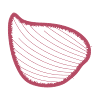 Illustration Other