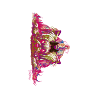Illustration Other