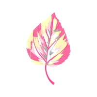 Illustration Other
