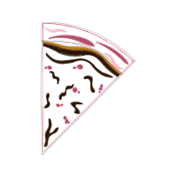 Illustration Other