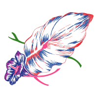 Illustration Other