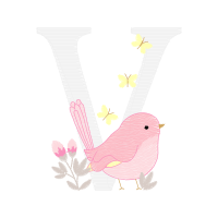 Illustration Other