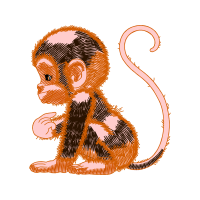 Illustration Other