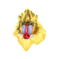 Illustration Other