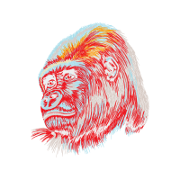 Illustration Other