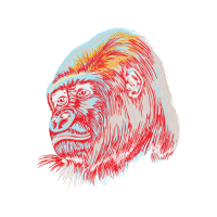 Illustration Other