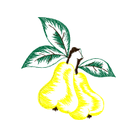 Illustration Other