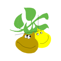 Illustration Other