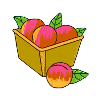 Illustration Other
