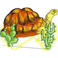 Illustration Other