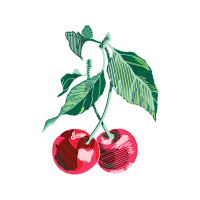 Illustration Other