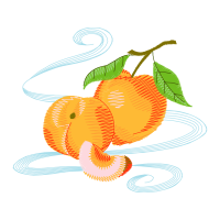 Illustration Other