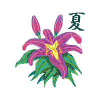 Illustration Other