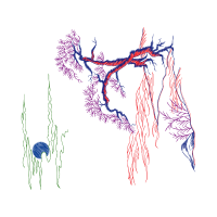 Illustration Other