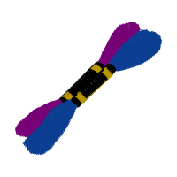 Illustration Other