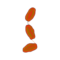 Illustration Other