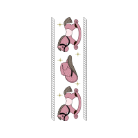 Illustration Other