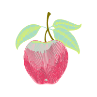 Illustration Other