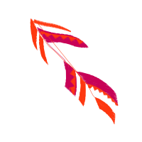 Illustration Other